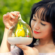 Spiderwick LED Touch Lamp