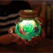 Rose in a jar color changing lamp